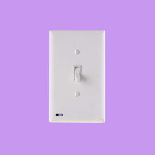 Load image into Gallery viewer, Glow-In-The-Dark Light Switch
