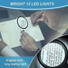 Load image into Gallery viewer, Nazano Magnifying Glass with LED Lights

